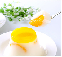 純滋100 乳酸菌果凍